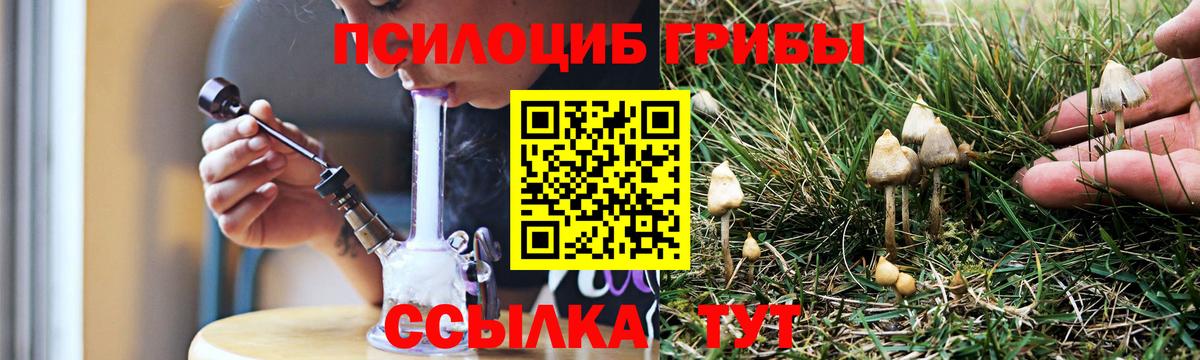 Галлюциногенные грибы мицелий Лесосибирск