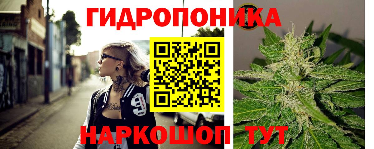 Марихуана OG Kush  Шишки марихуана конопля  Вход с VPN  Лесосибирск  Шишки марихуана VHQ  Бошки Шишки сатива 
